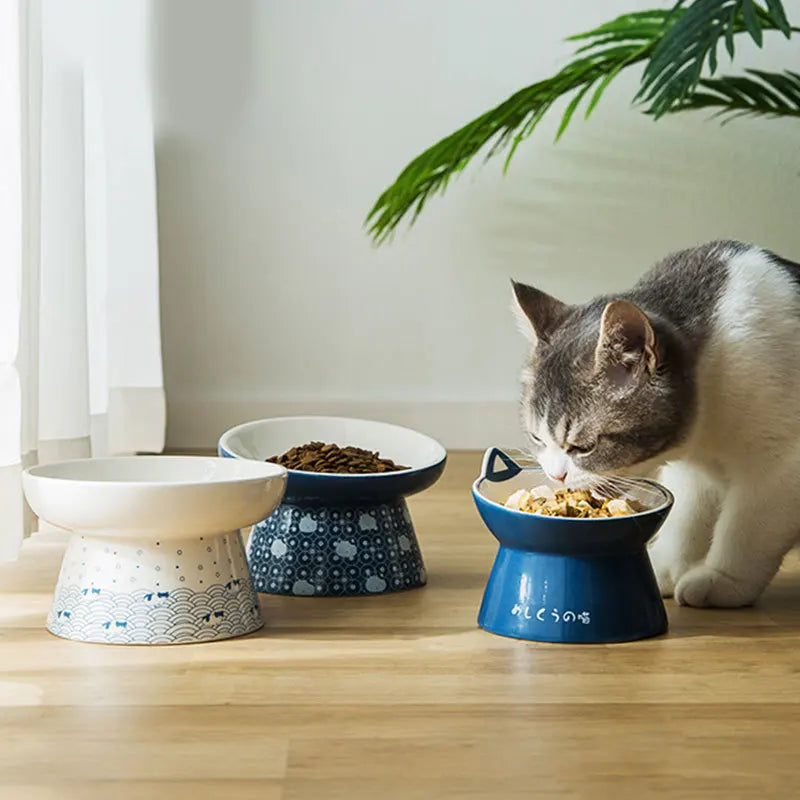 Elevated  Cute Ceramic Pet Bowl